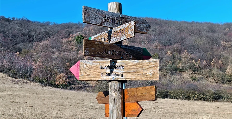 a bunch of signs that are in a big field