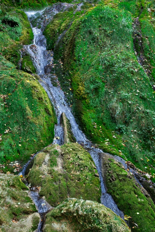 green mossy rocks covered in a creek