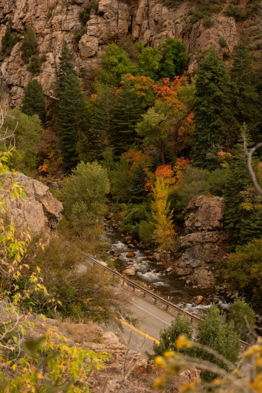 trees and rocks with water and a bus in the foreground