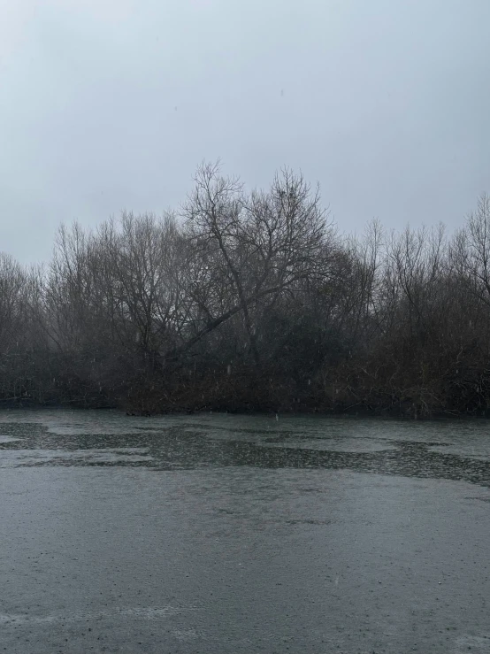 a lake with some trees in the background