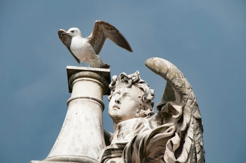 two seagulls sitting on top of the gargoyle of a building