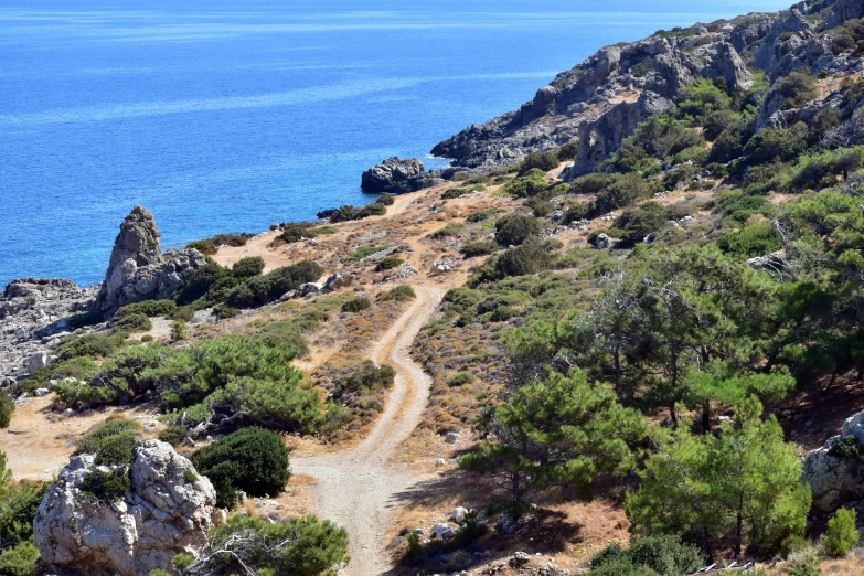 an empty dirt road and a blue lake on a sunny day