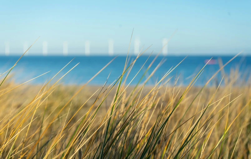 a wind mill in the distance with water and sky in the background