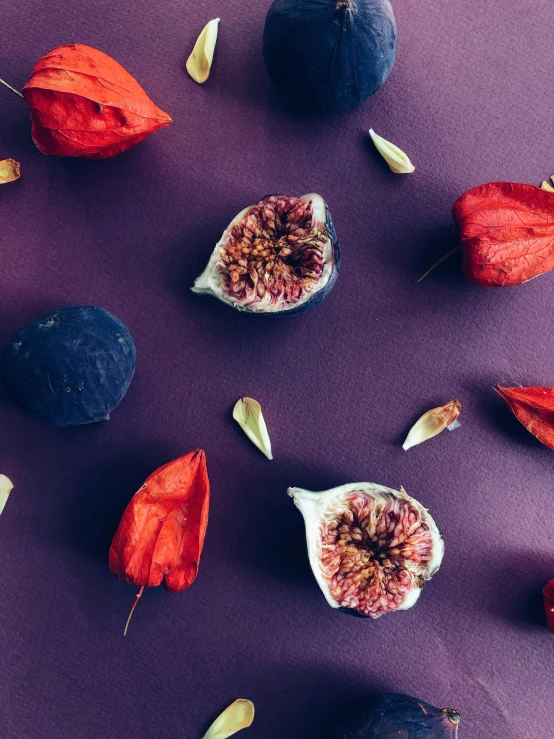 a set of different fruits sitting on a purple surface