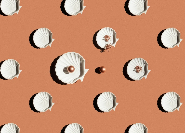 small white shells are arranged on a orange surface