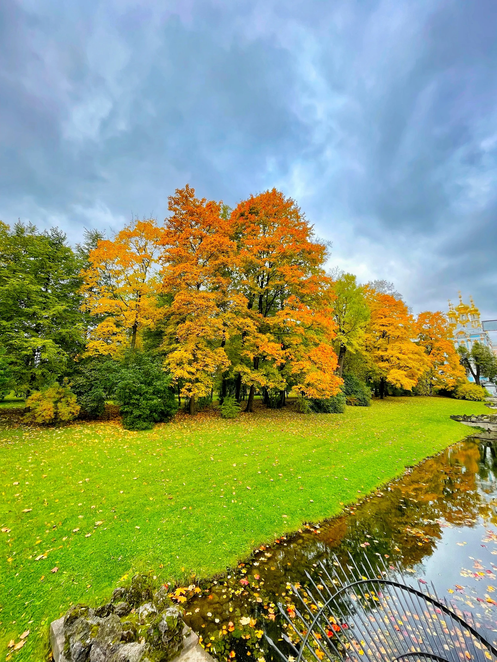 a grassy area near trees with orange leaves