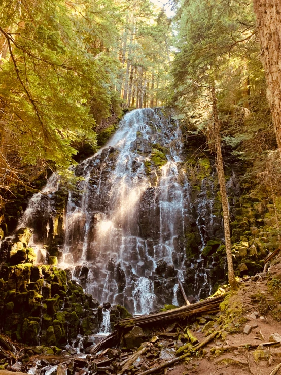 a large waterfall in the middle of a forest