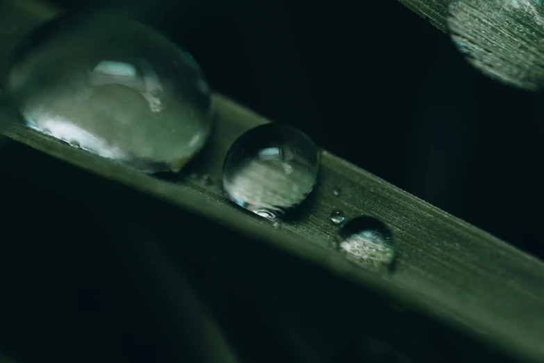 water droplets sit on the surface of a blade