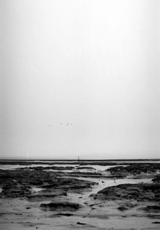 a bird is flying over a beach in the distance