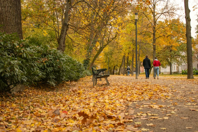 a group of people walk down a park with leaves on the ground