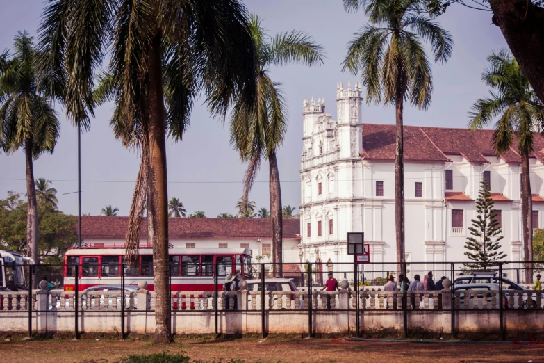 a city with palm trees and two buses