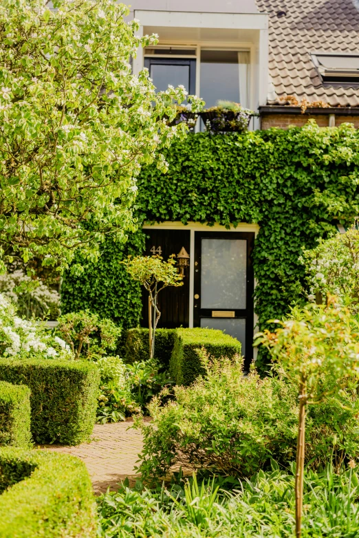 the doorway to an open window surrounded by green plants