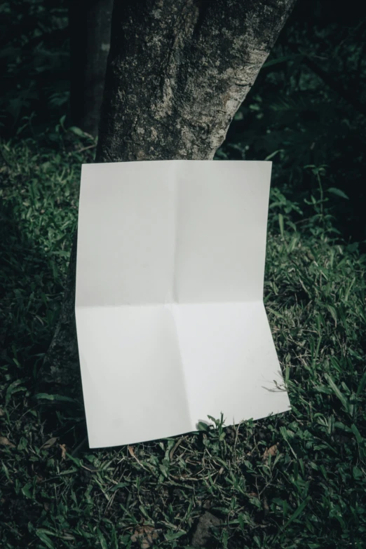 a large piece of paper that is attached to a tree