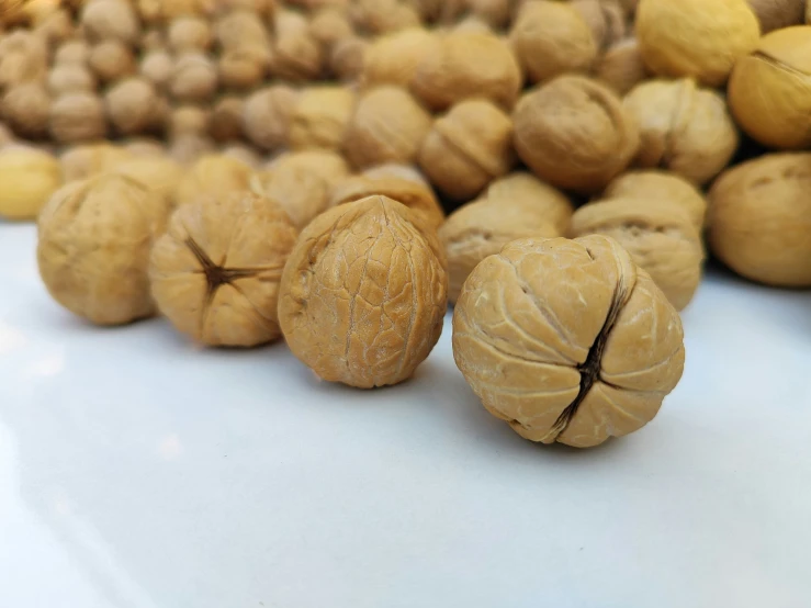 several different types of nuts are lined up on a white surface