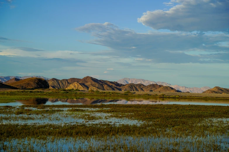 the mountains are surrounded by grassy and shallow waters