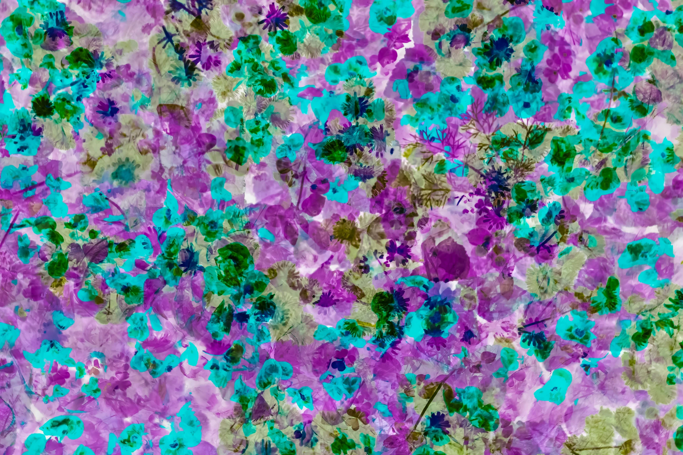 an abstract background of many green and purple flowers