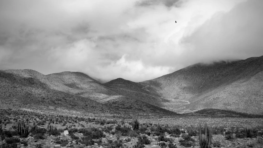 a black and white landscape showing mountains under a cloudy sky