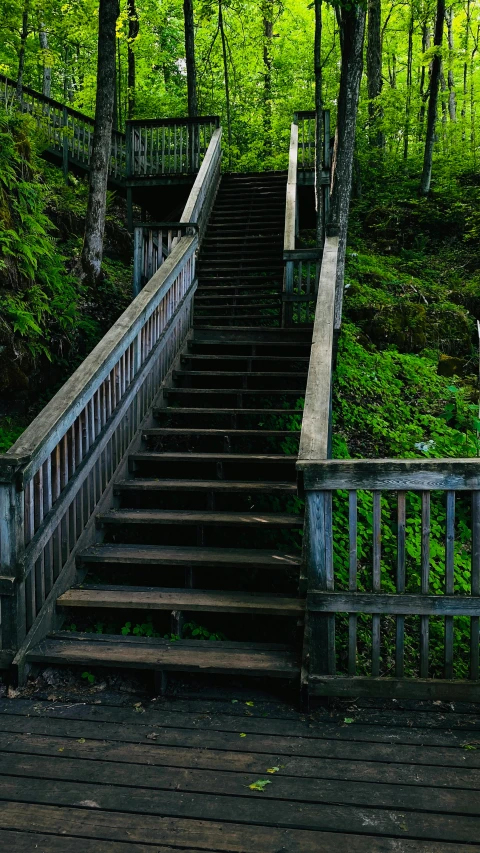 a stairway leading up to an outdoor deck in the woods