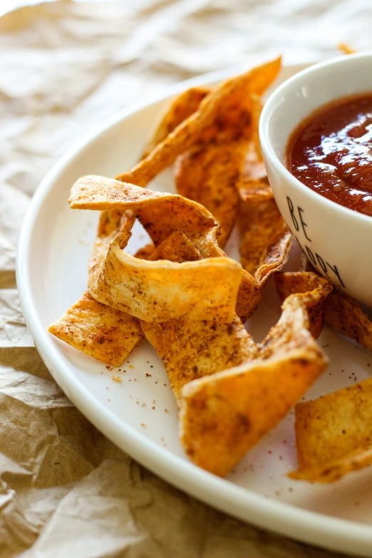 some chips and tomato dipping on a plate