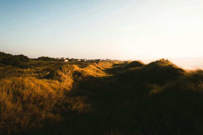 a landscape po with some grass and water