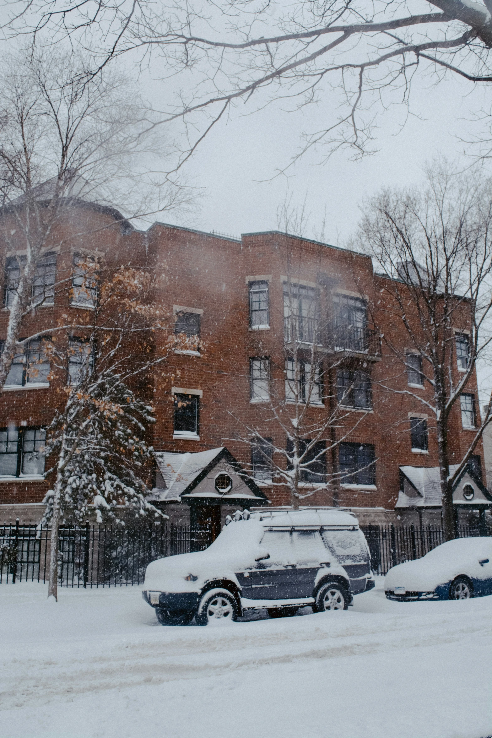 a couple of cars that are covered in some snow