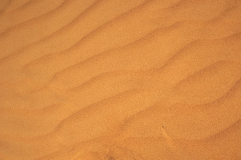 a bird is standing on top of a large sand dune