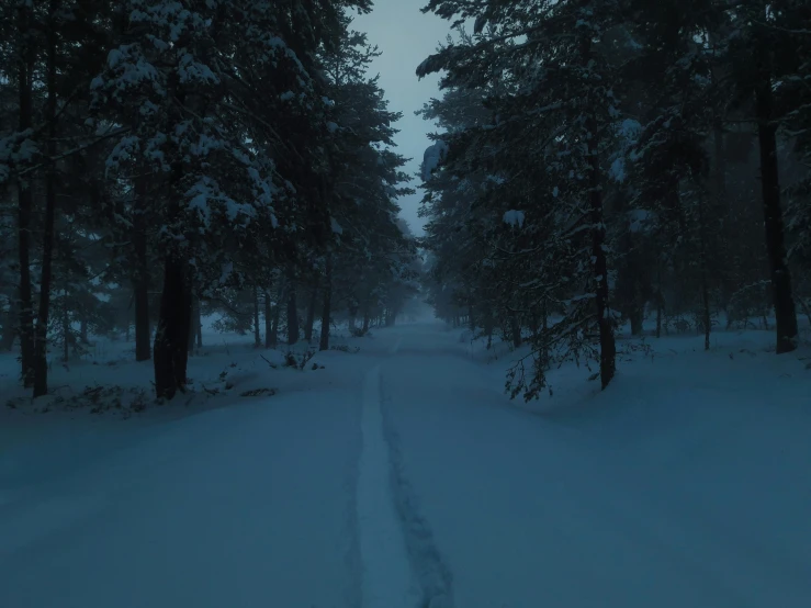 a snowy road leading through several snow covered trees