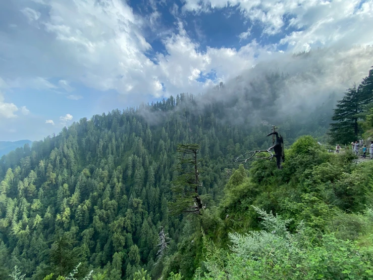 several trees and people climbing up a steep mountain