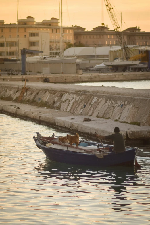 a person and dog on a boat in a waterway