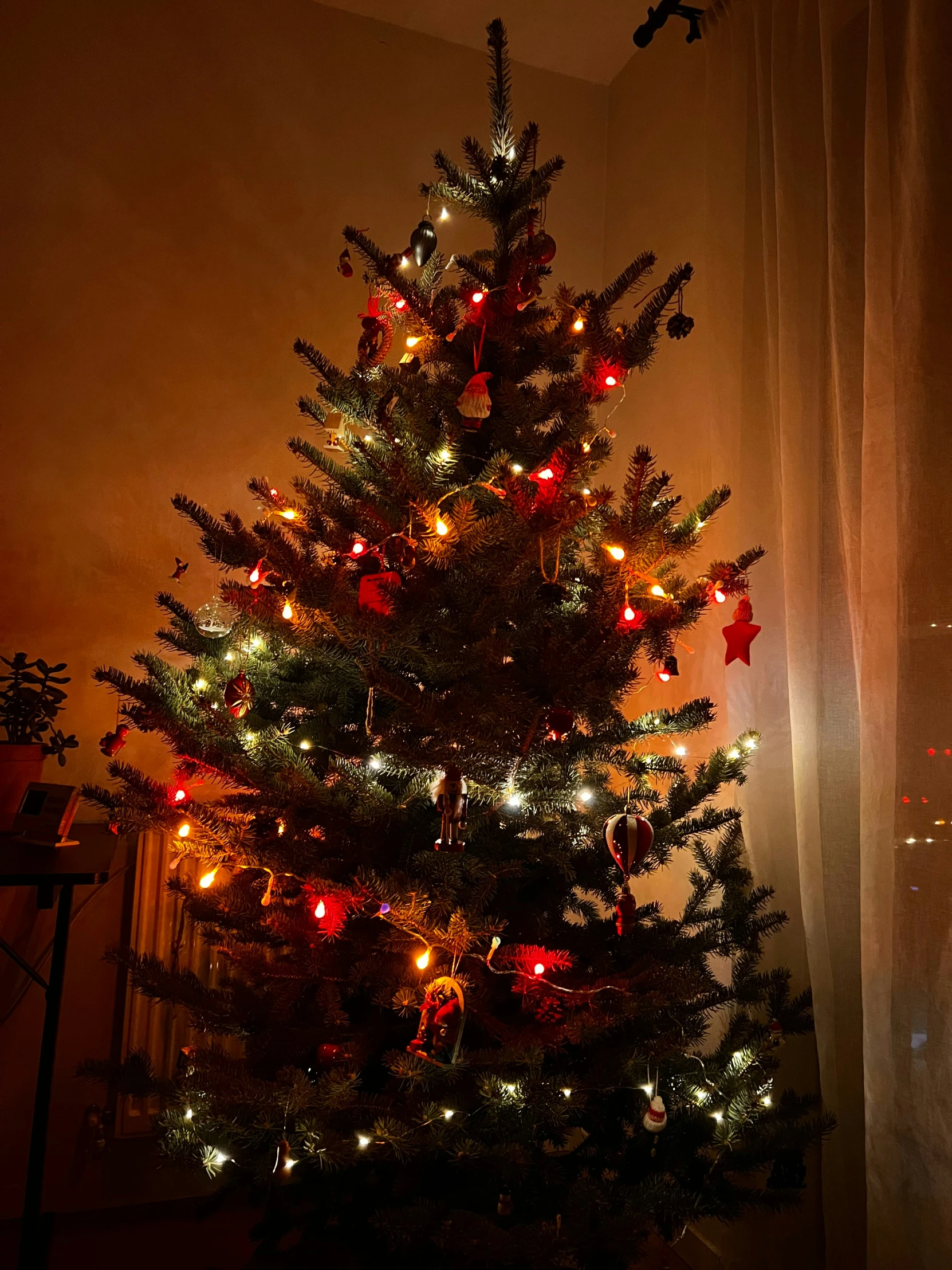 the christmas tree is lit up by bright lights