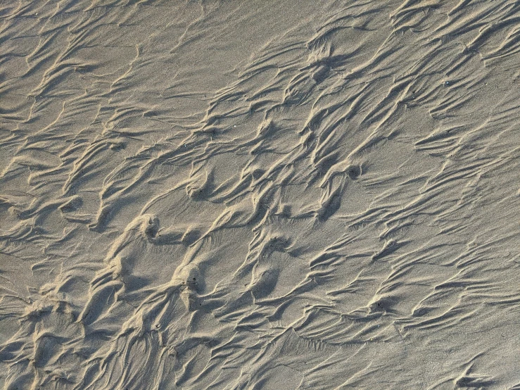 footprints in the sand on a beach by itself