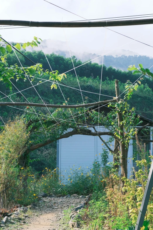 a bridge going through a rural area in the country