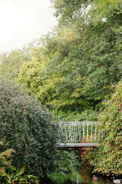 the bridge is over the water in the park