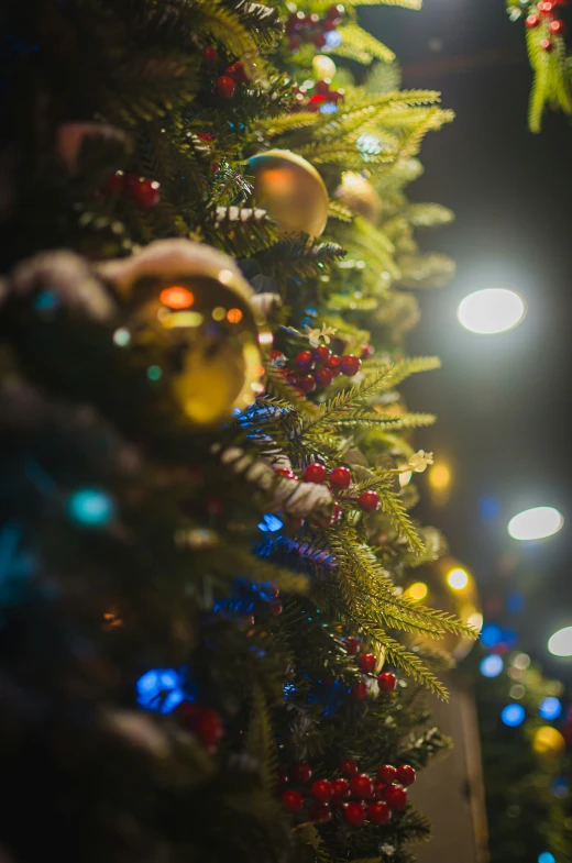 ornaments are on the top of a christmas tree