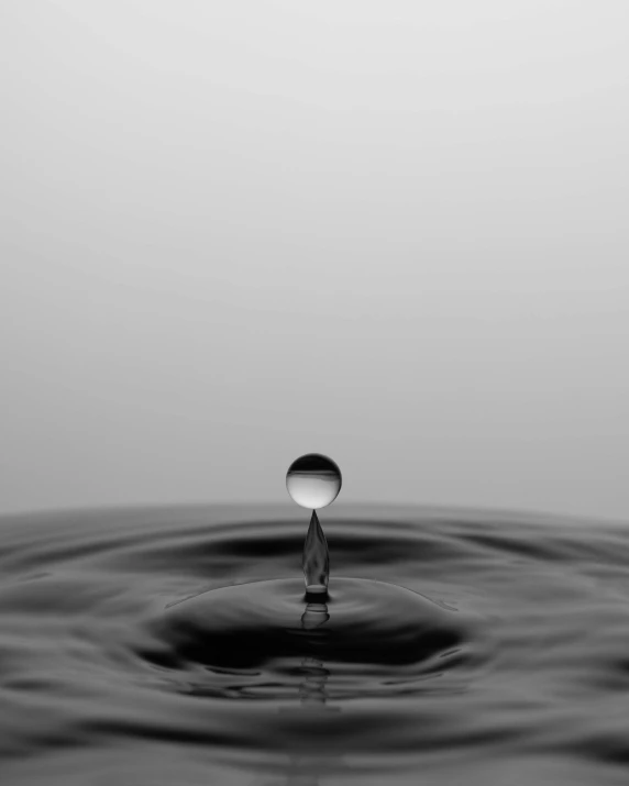 a black and white po of a round object floating in water