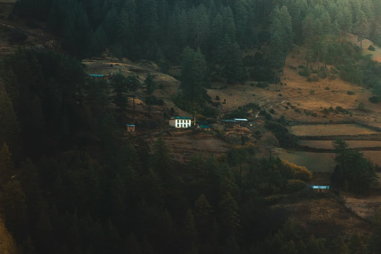 a hill with trees growing on the side and houses at the top