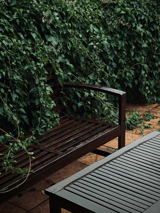 wooden benches are standing near a bush