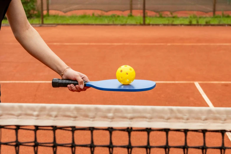 a person holding a racket and a ball on the other side