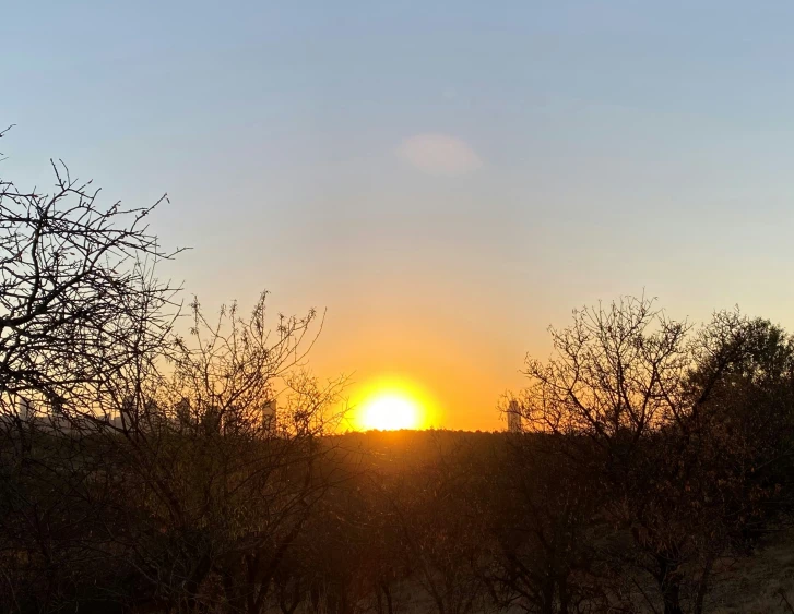 sunset in a field with tree silhouettes and blue sky