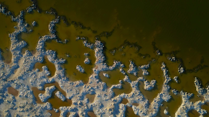 aerial pograph of water with various colored patches