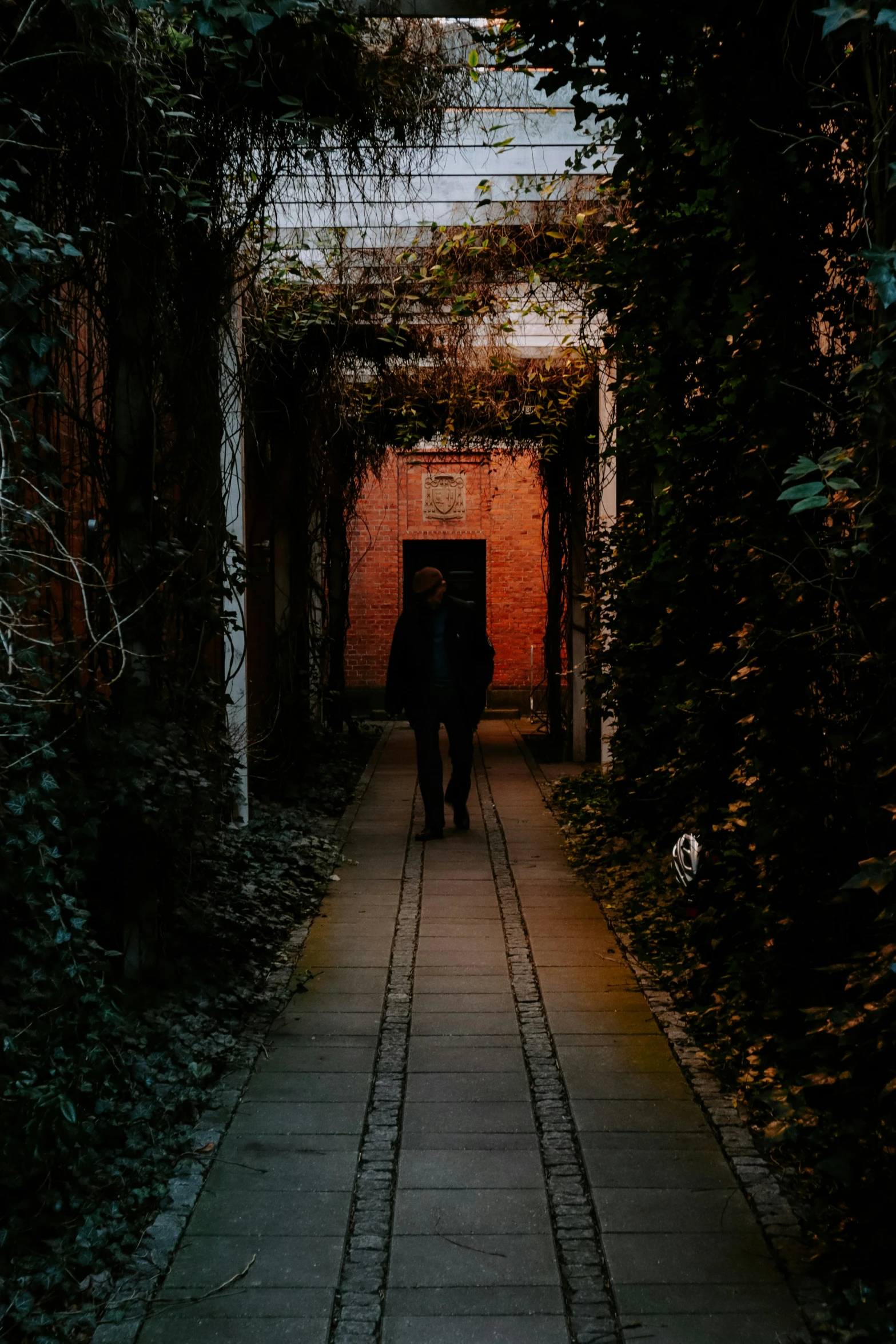 an alley with green vines and ivy on the walls