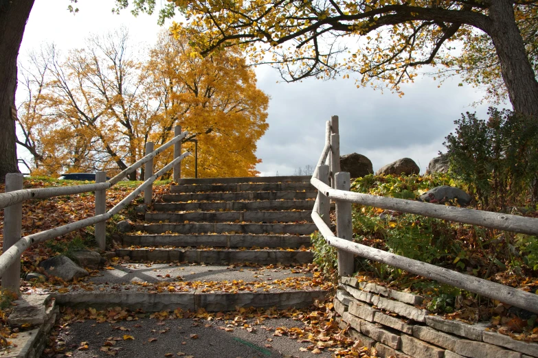 a set of stairs leading to a yellow autumn foliage covered forest