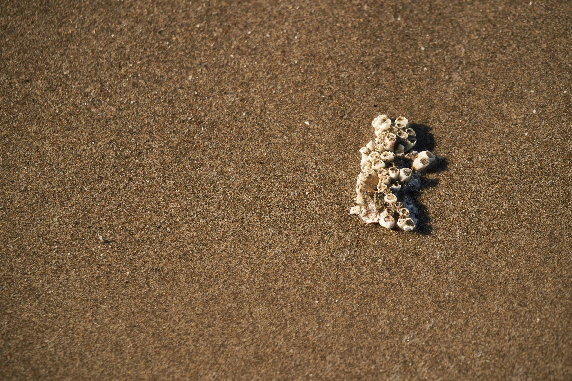 there are some stuff on the sand in the beach