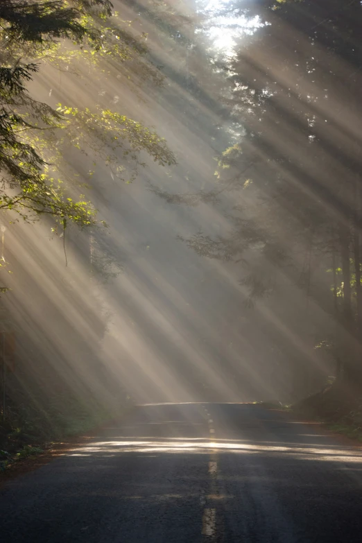 a street with sunshine shining through trees