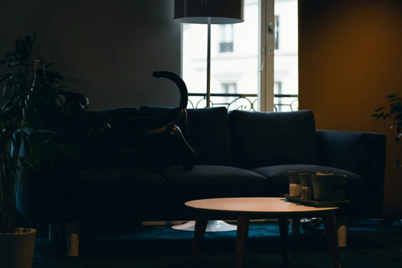 an empty living room with a sofa, coffee table and a couch that has some plant in it