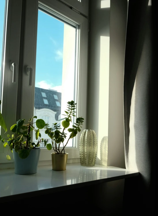 a couple of plants sitting on a counter next to a window