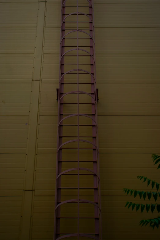 a metal ladder attached to a wall