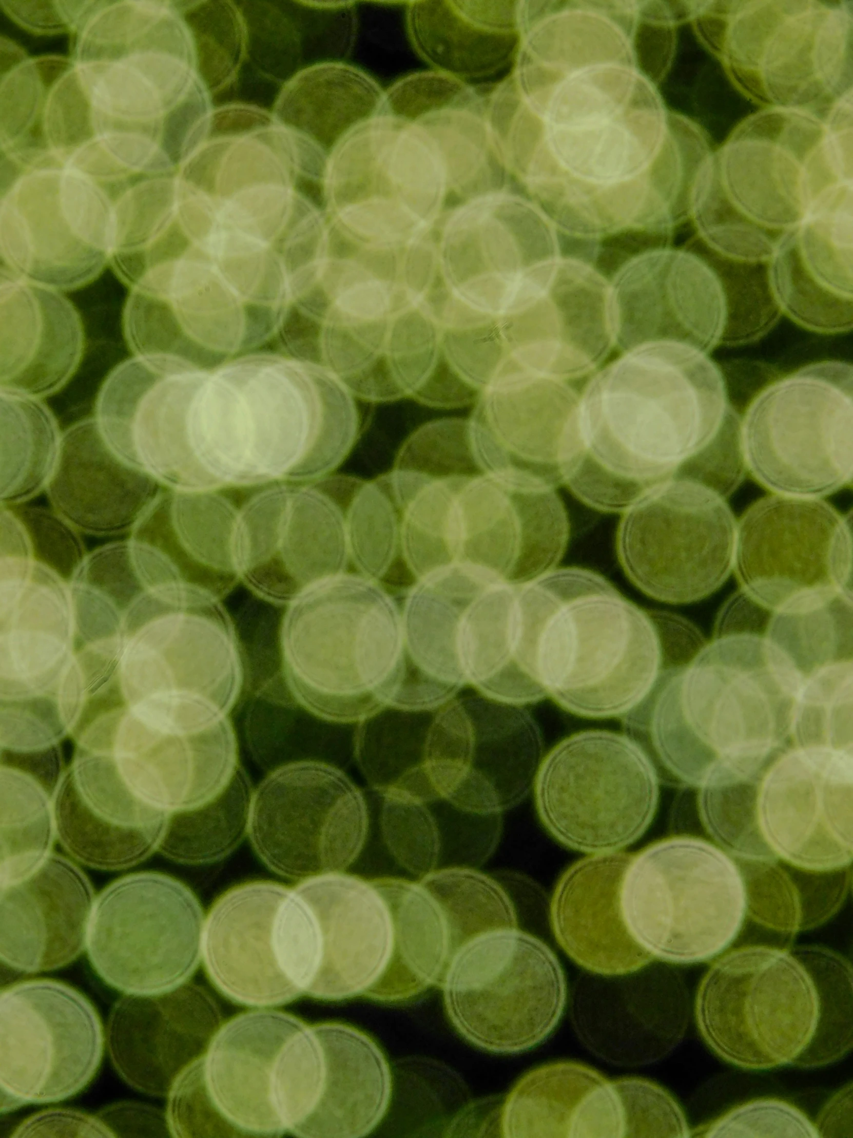 an image of a bunch of green light circles