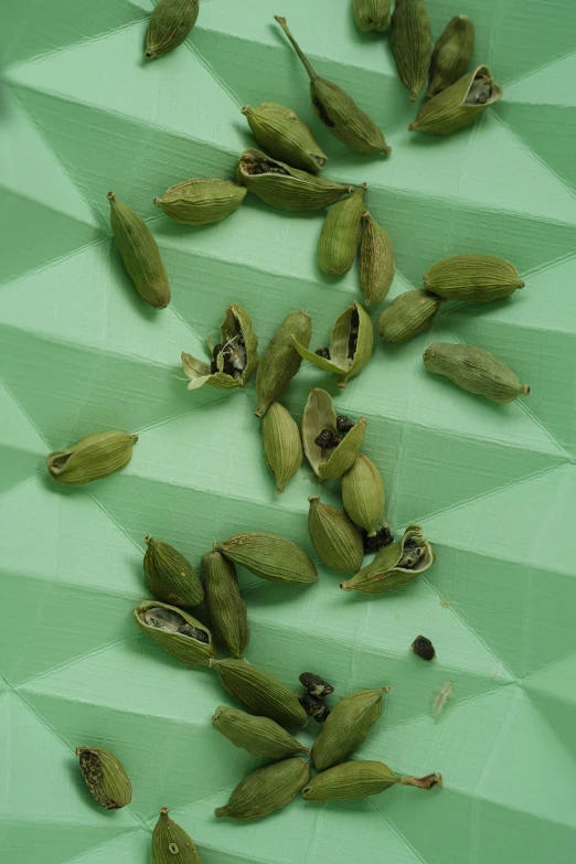 the seeds have been placed on a green table