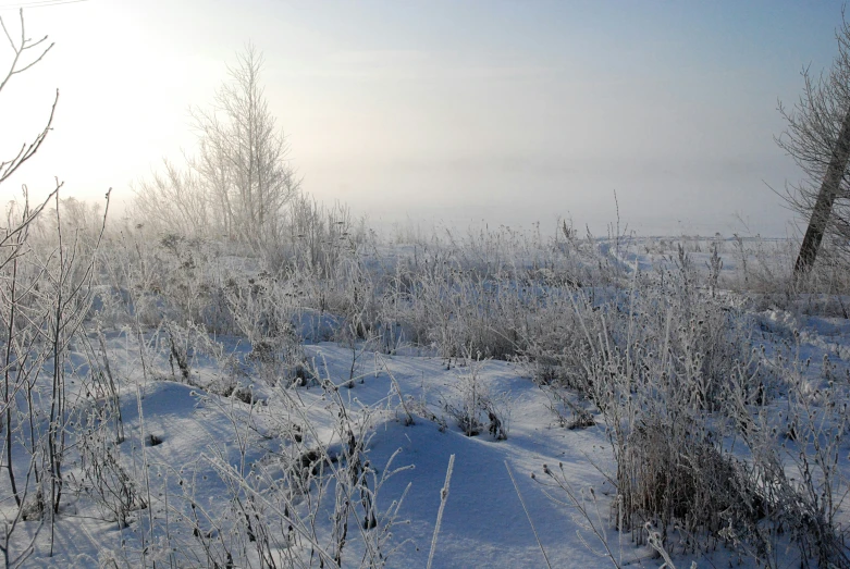 a snow covered field is pictured in this image